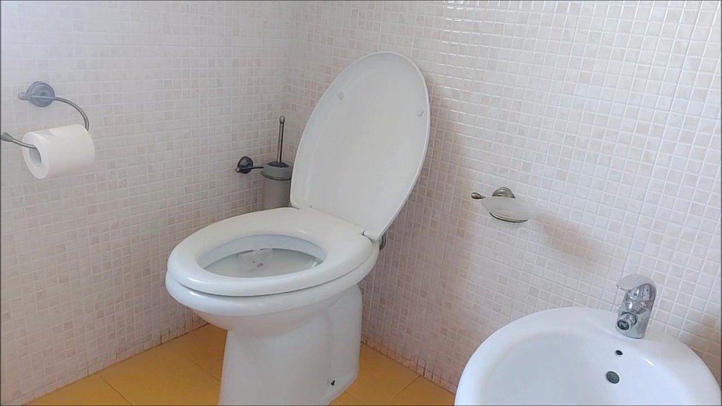 Potty Training: It's Not Just Pee Potty Training: It's Not Just Pee