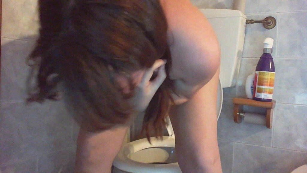 1_the-toilets-strange-secret-a-headfirst-look