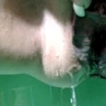 AimeeParadise: The Virtual Goddess’s Reign