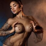 donnataylors-digital-spotlight