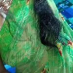 Hindi Audio: A Married Woman’s Intimate Moments