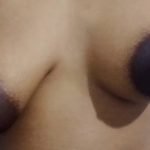 a fresh look at mormon amateur traditions