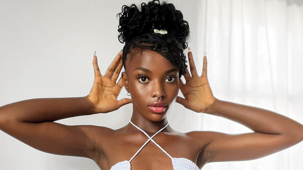 Categories Categories