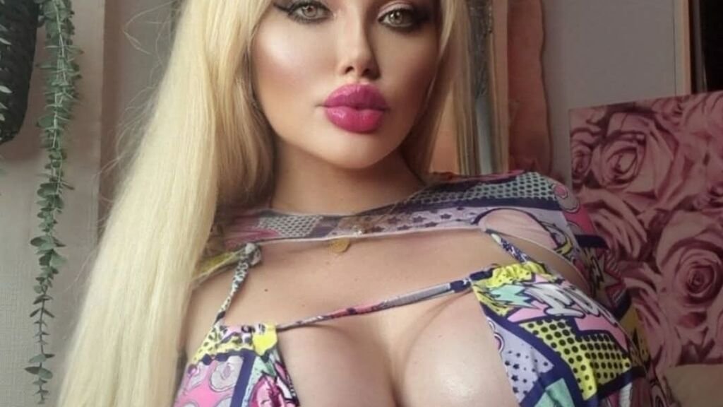 Categories Categories