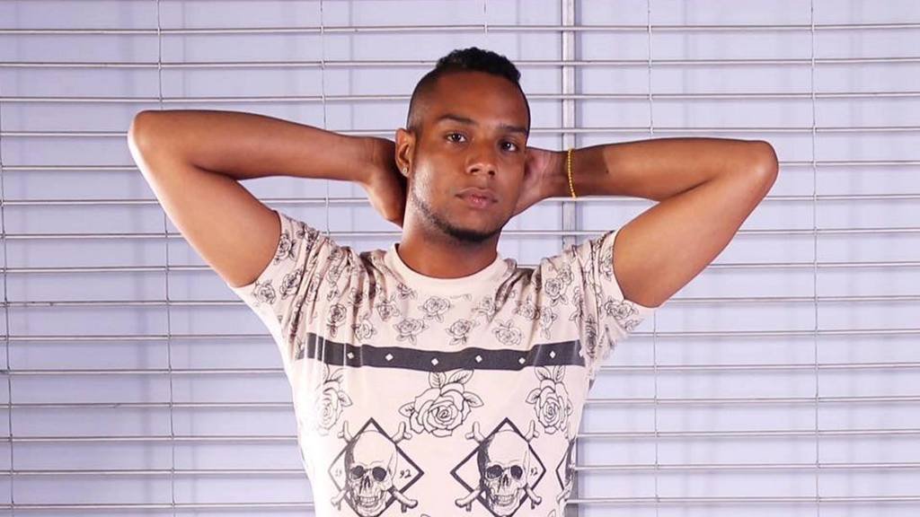 arthurhawkings unexpected webcam universe