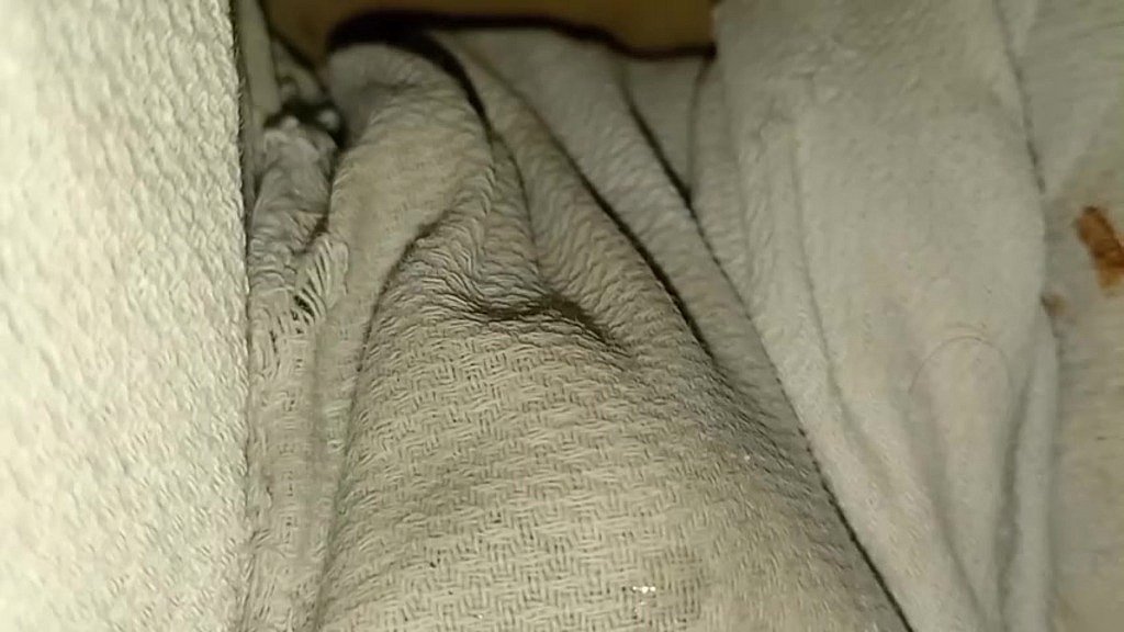 Deliciosa Miel y Doble Placer