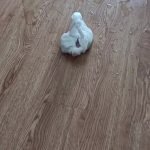 desperate diaper changes in public