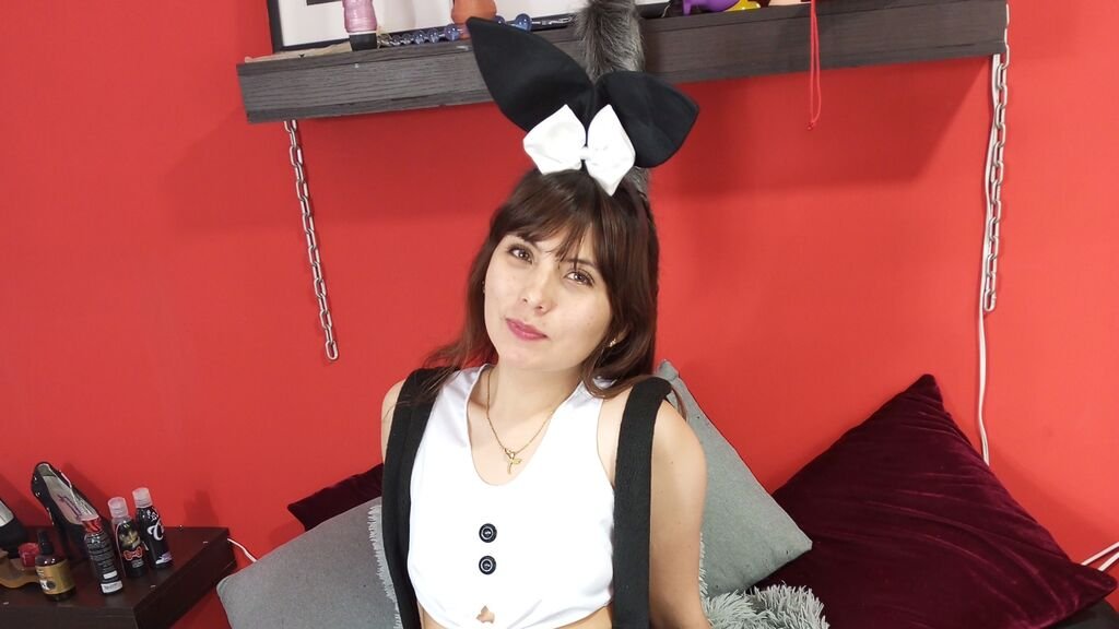 DirSuns Digital Daylight