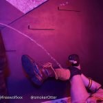 dungeon pups a quest gone wrong