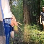 forest bathing a moment of quiet release