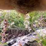 forest bathroom risks is it safe