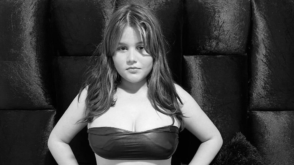 Categories Categories