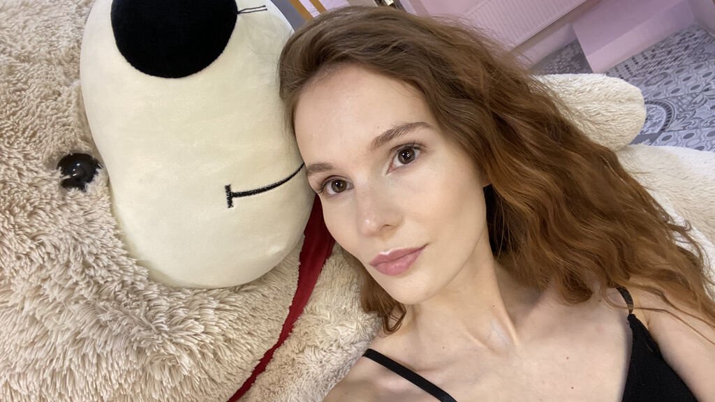 Categories Categories