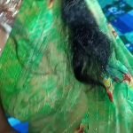 hindi audio a married womans intimate moments