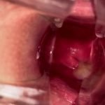 intimate anal exploration guide