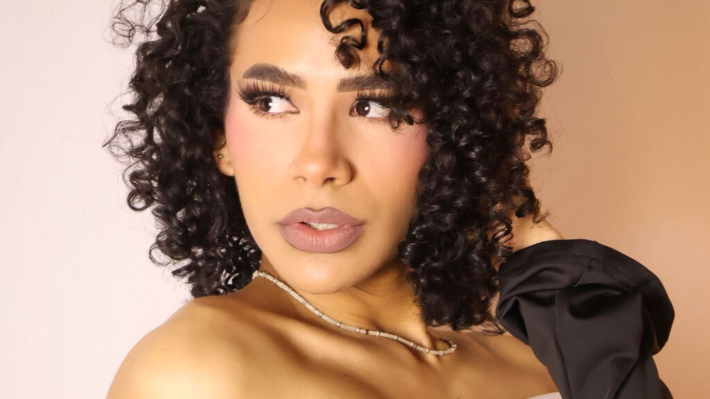 LyaDumonts Digital Canvas: A Webcam Story