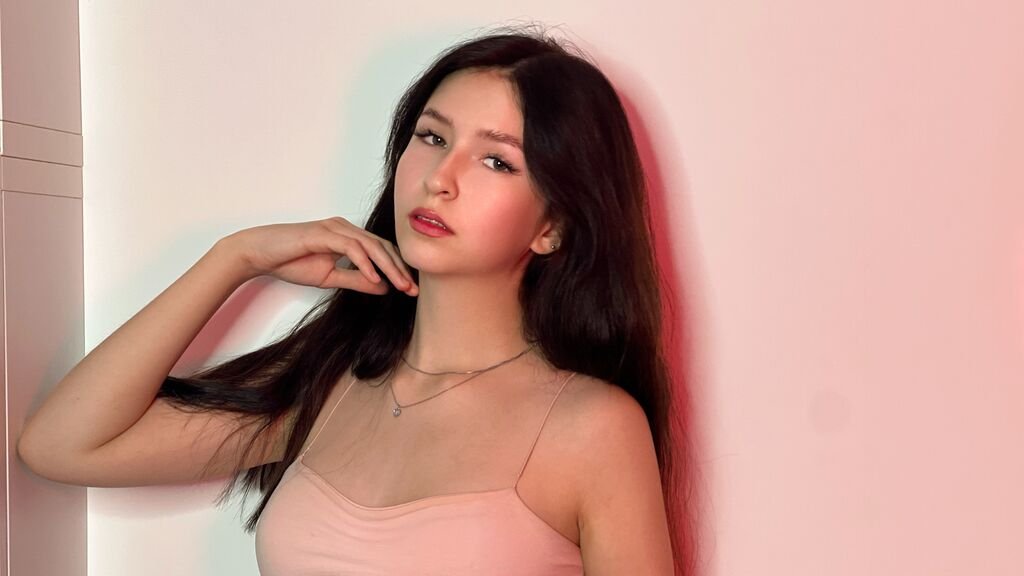 Categories Categories