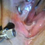 my love for sounding a candid story