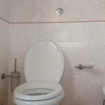 my stepmoms hidden toilet camera