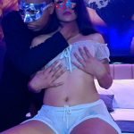 perywinkles pixelated playhouse