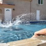 pool shark a stroke of genius