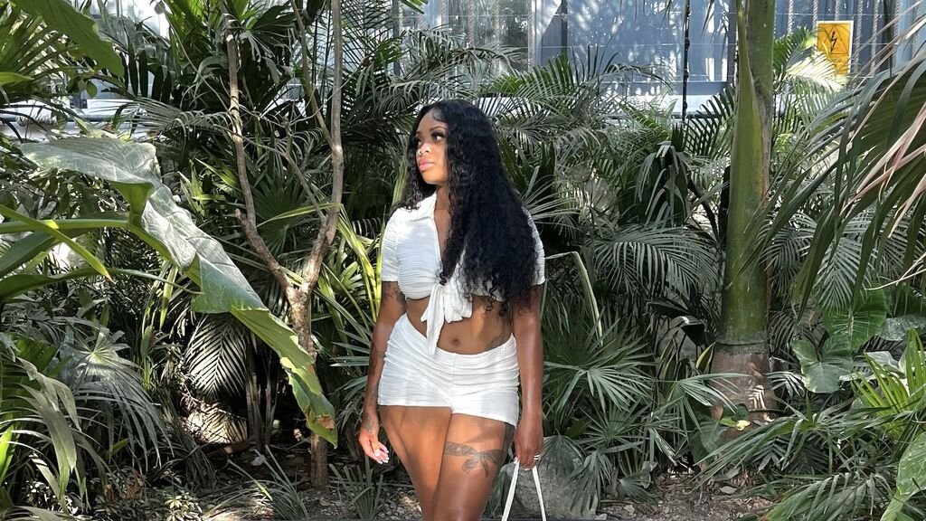 PromiseLux: Your Screens New Glow-Up PromiseLux: Your Screens New Glow-Up