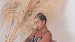 shaepalmers digital playground unlocked