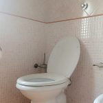 the unstoppable urge to pee