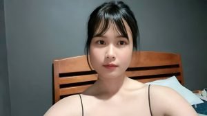 wannidas whimsical webcam world unveiled