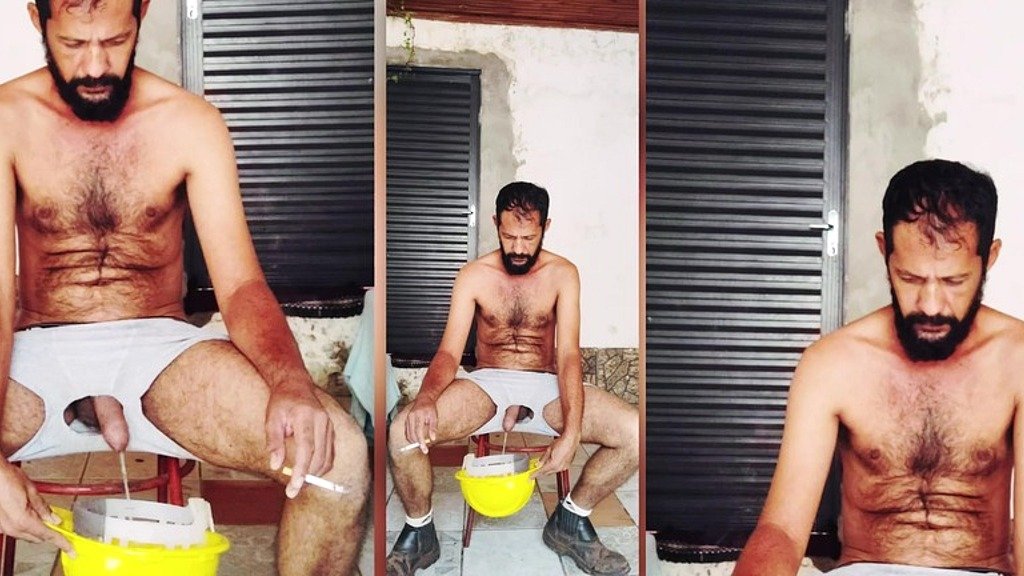 weekend fun for your pup