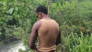 wild waterfall encounter an intimate story